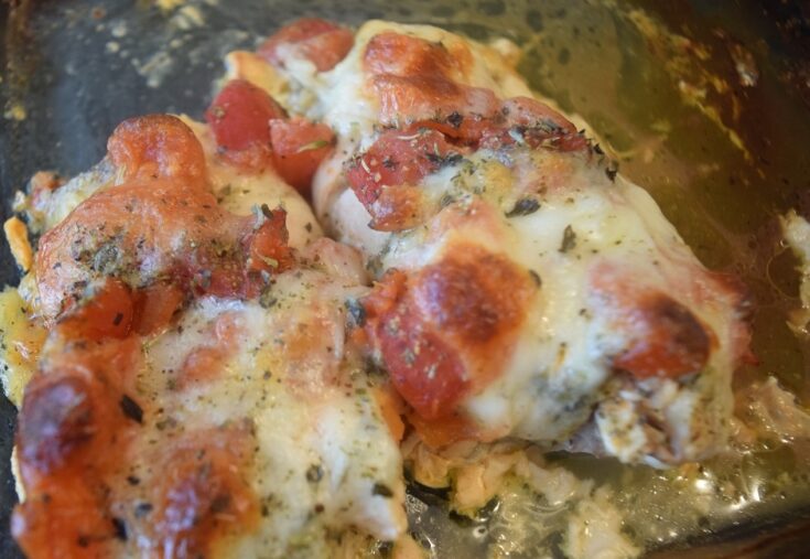 baked chicken with tomato and cheese