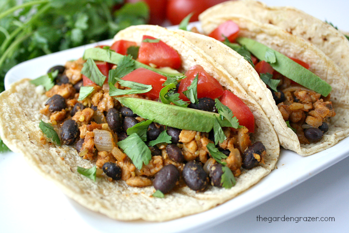 tempeh tacos with beans tomatoes and avocado