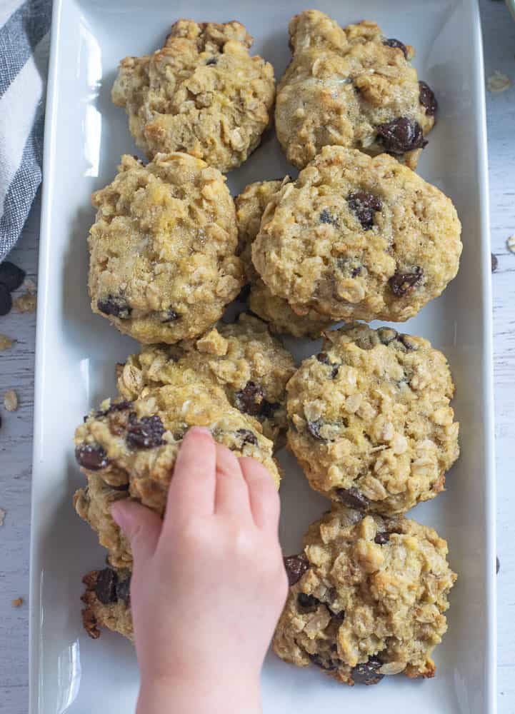 Little hand grabbing coconut flour oatmeal cookies on white dish 