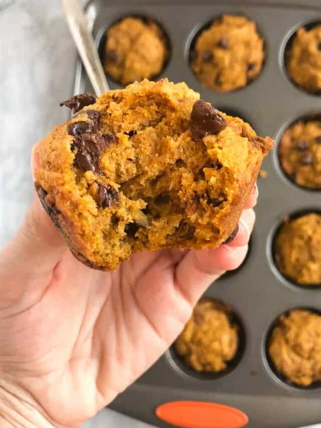 Closeup of homemade pumpkin muffin with chocolate chips