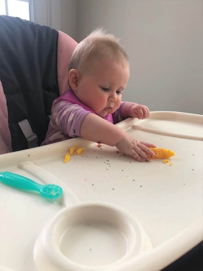 baby led weaning eggs on high chair