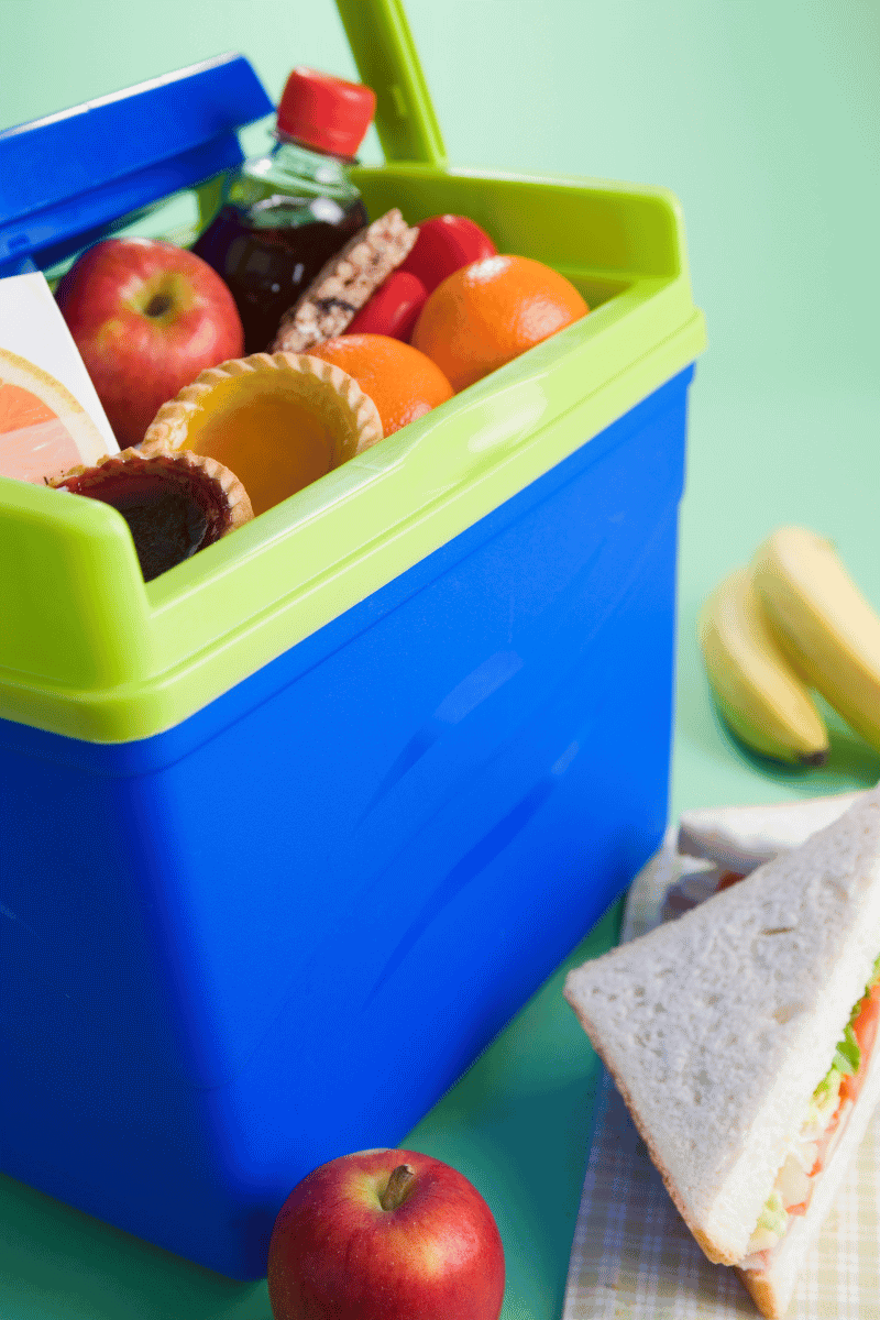 cooler with kids road trip snacks