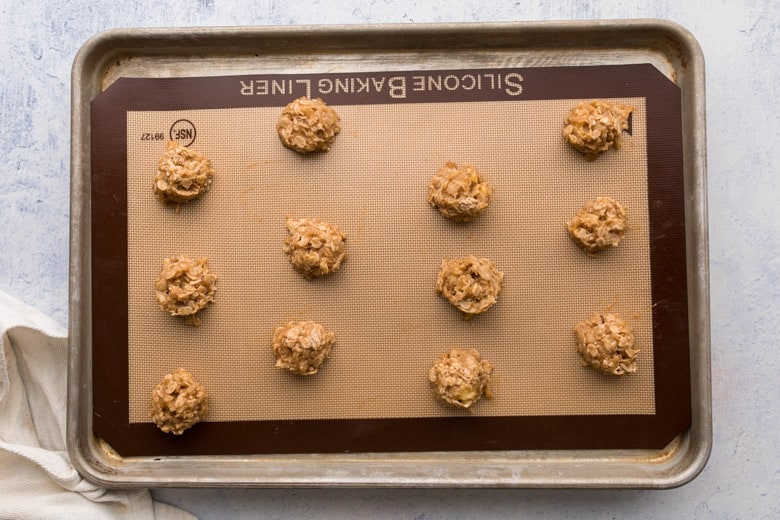 silicone sheet with oatmeal cookies