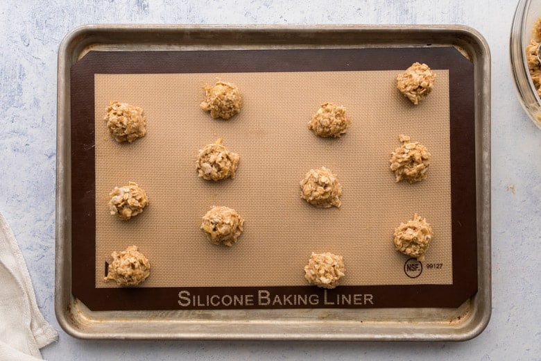 silicone sheet with oatmeal cookies