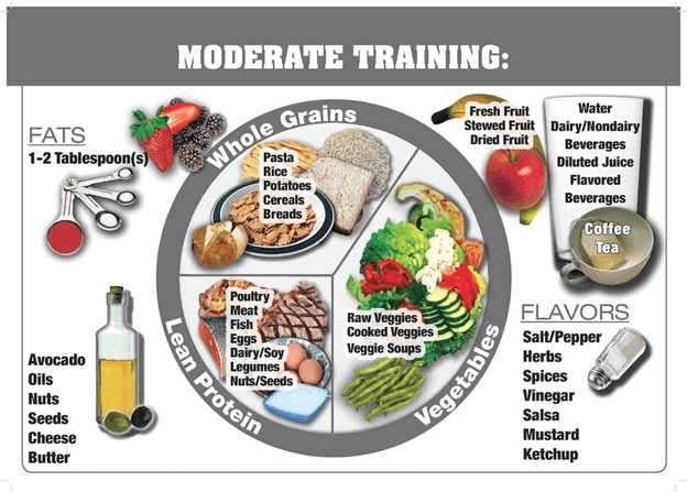 USOC moderate training day performance plate