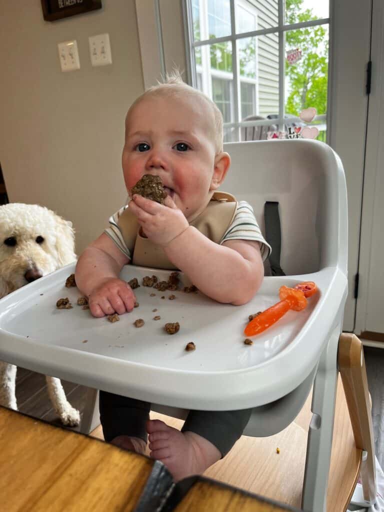 baby eating meatball at 7 months