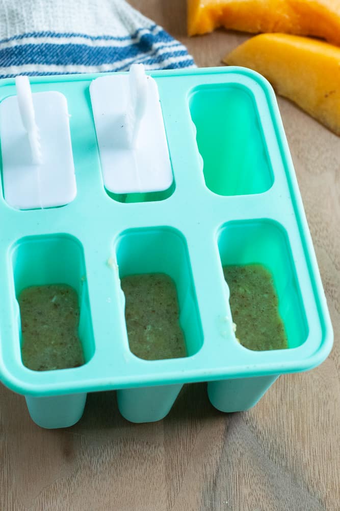popsicle molds with cantaloupe puree for baby