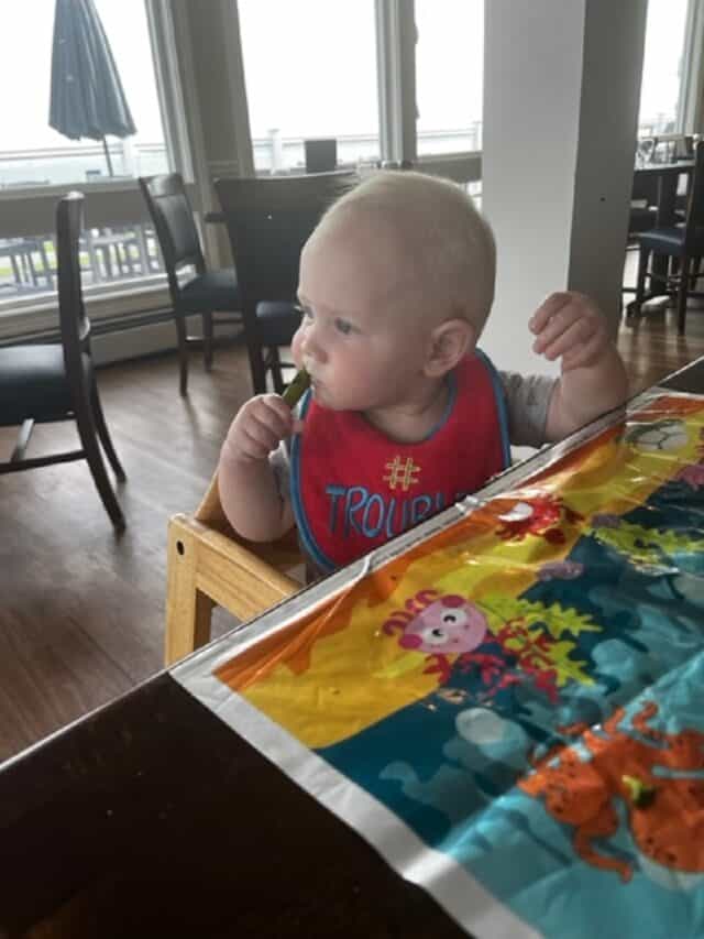 Baby Led Weaning 9 Months Run Down Bucket List Tummy