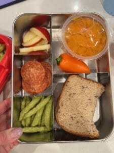 kids lunch box with sandwich, fruit and vegies