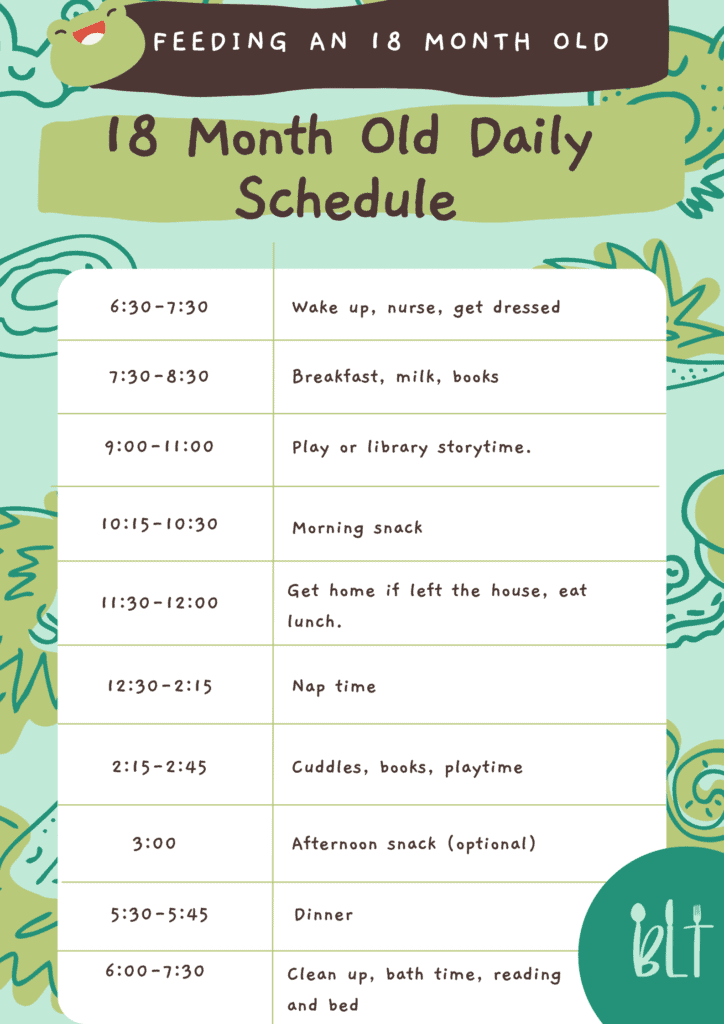 18 month old daily schedule