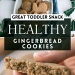 graphic for healthy gingerbread cookies