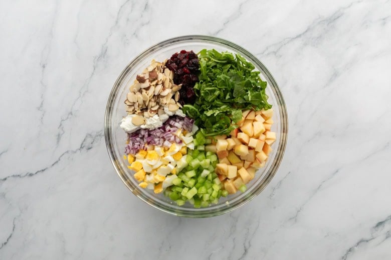 Apple cranberry quinoa salad topped with honey dressing, fresh herbs, and nuts.