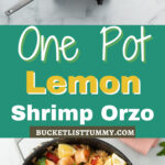 Long pin for one pot lemon shrimp orzo with photos and text