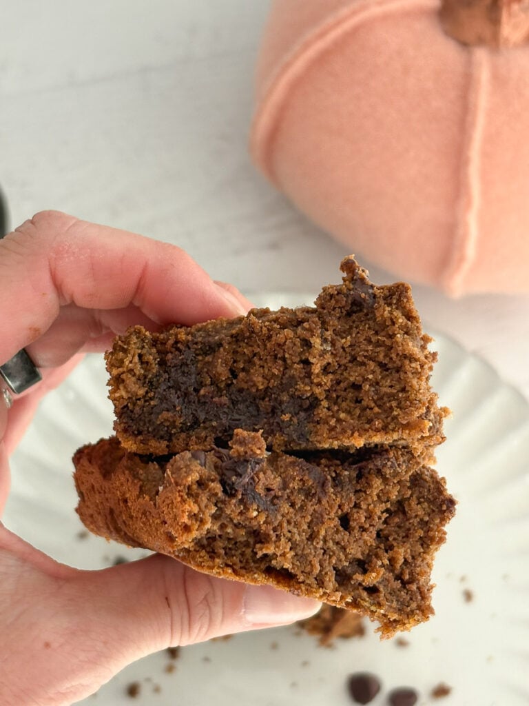 closeup of healthy pumpkin brownies with chocolate chips over white plate.